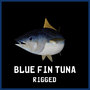 3d blue fin tuna model