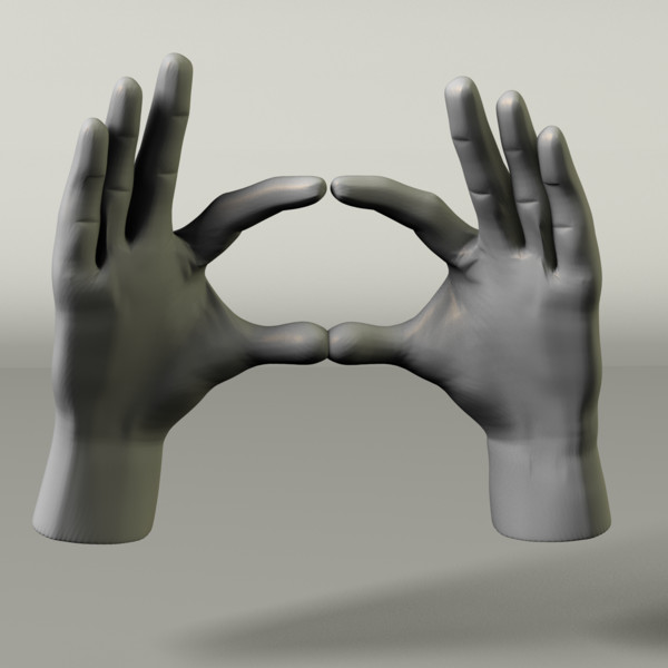 Fully Rigged Set of Hands 3D Models