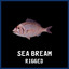 SEA_BREAM
