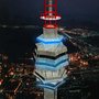 3d model avala tower