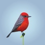 bird 02 v1 0 3d model