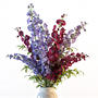 delphinium flowers vase max