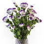 eustoma flowers vase 3d model