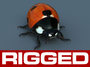 ladybird rig