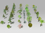 30 tree 3d max