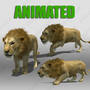 3d lion animations model