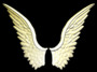 angel wings 3d model