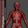 human bone skull skeleton 3d 3ds