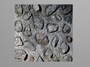 granite wall