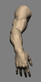 3d arm sculpt