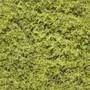 Grass Toon Texture #4