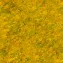 Grass Toon Texture #5