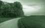 picture-01