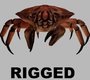3d x crab rigged
