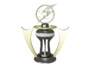 max award cup
