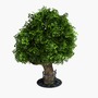 maple tree obj