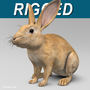 3ds max realistic brown rabbit