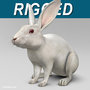 3ds max realistic white rabbit