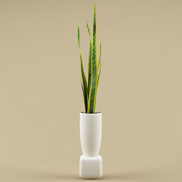 plant flowerpot 3d model - plant with flowerpot_11... by bihoreanul