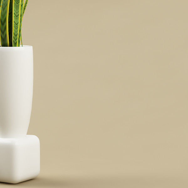 plant flowerpot 3d model - plant with flowerpot_11... by bihoreanul