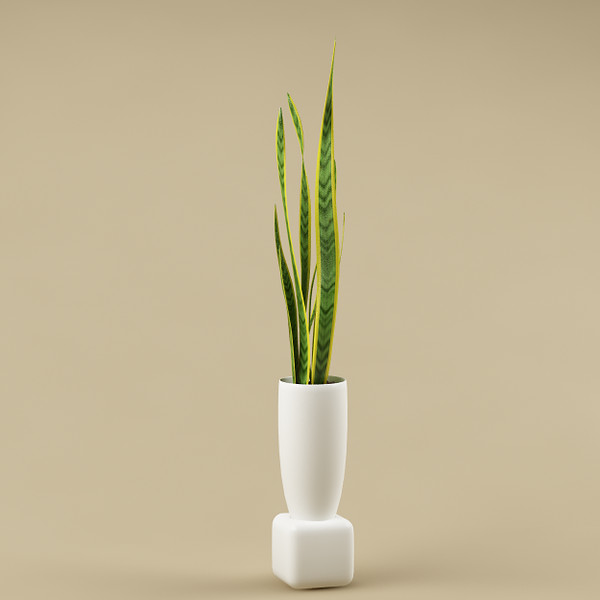 plant flowerpot 3d model - plant with flowerpot_11... by bihoreanul