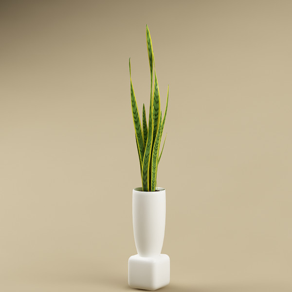 plant flowerpot 3d model - plant with flowerpot_11... by bihoreanul