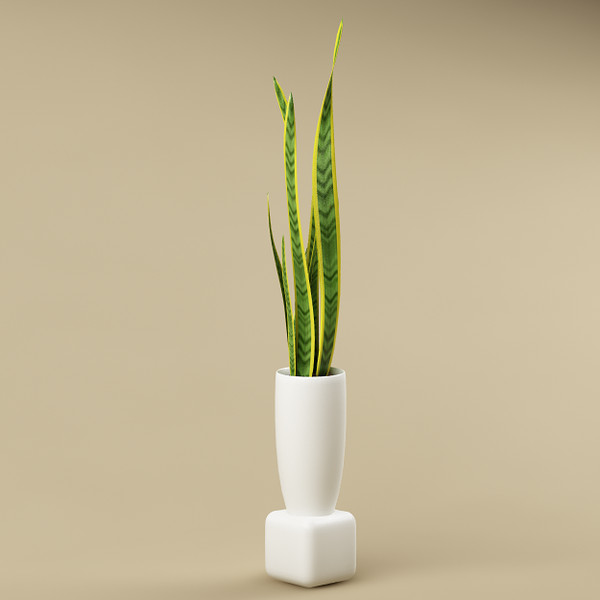 plant flowerpot 3d model - plant with flowerpot_11... by bihoreanul