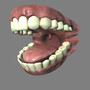 teeth gums 3d obj