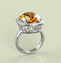 stone ring 3ds