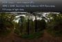 RED WOOD FOREST 360 HDR PANORAMA # 155