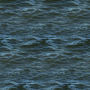 Water (from Black Sea)