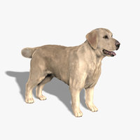 dog 3d models