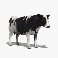 cow 3d models