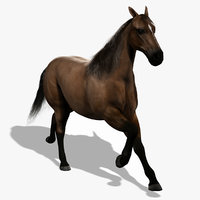 horse 3d models