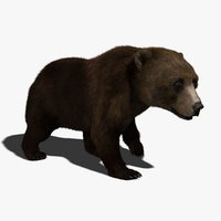 bear 3d models
