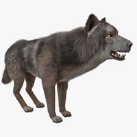 wolf 3d models