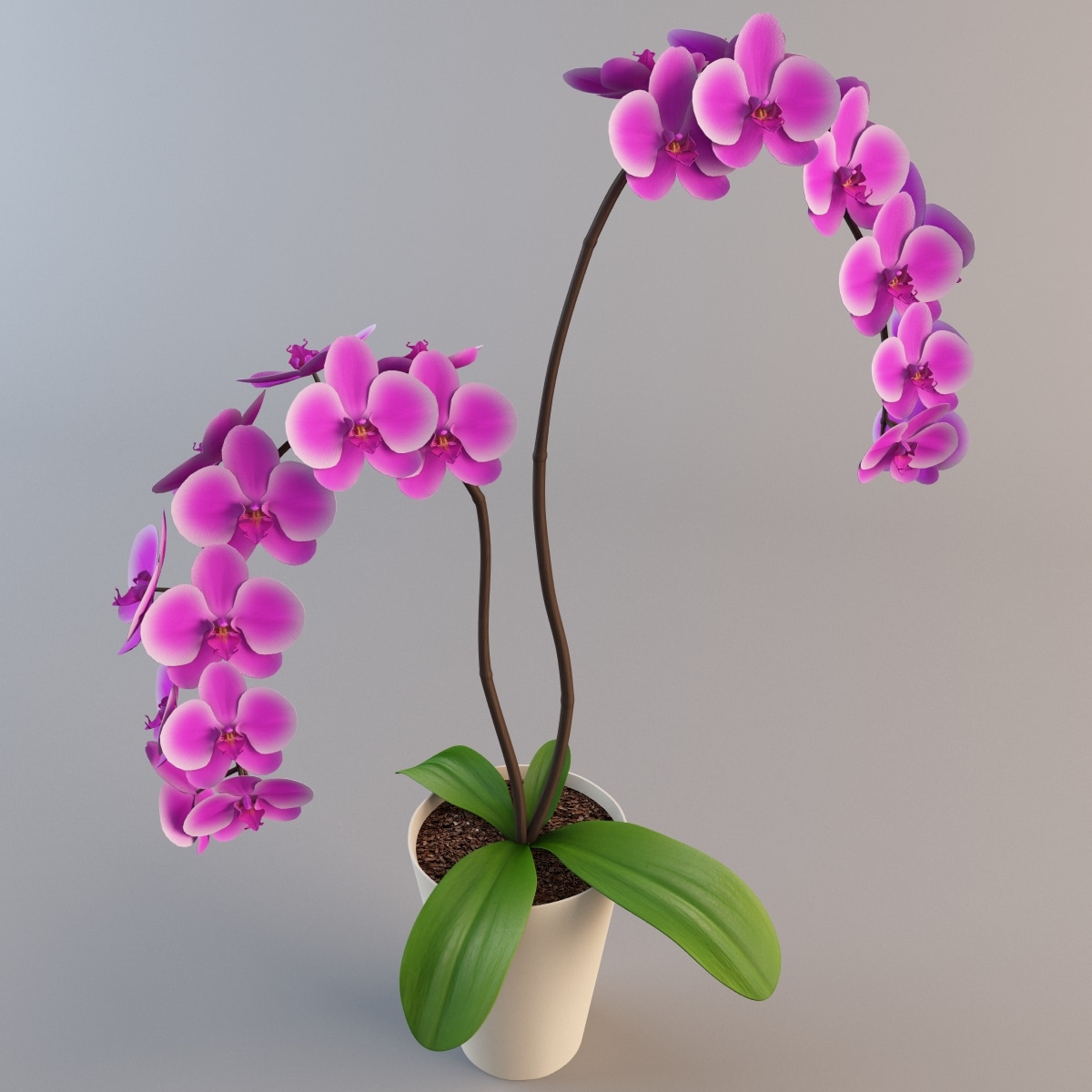 orchid flower 3d 3ds orchid flower 3d 3ds