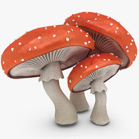 mushroom 3d models