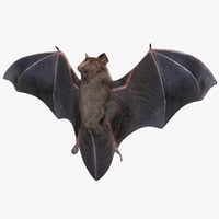 bat 3d models