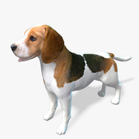 dog 3d models