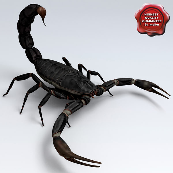 3D scorpion Models max 3ds obj fbx ma