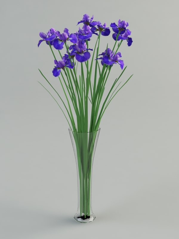 iris vase 3d max