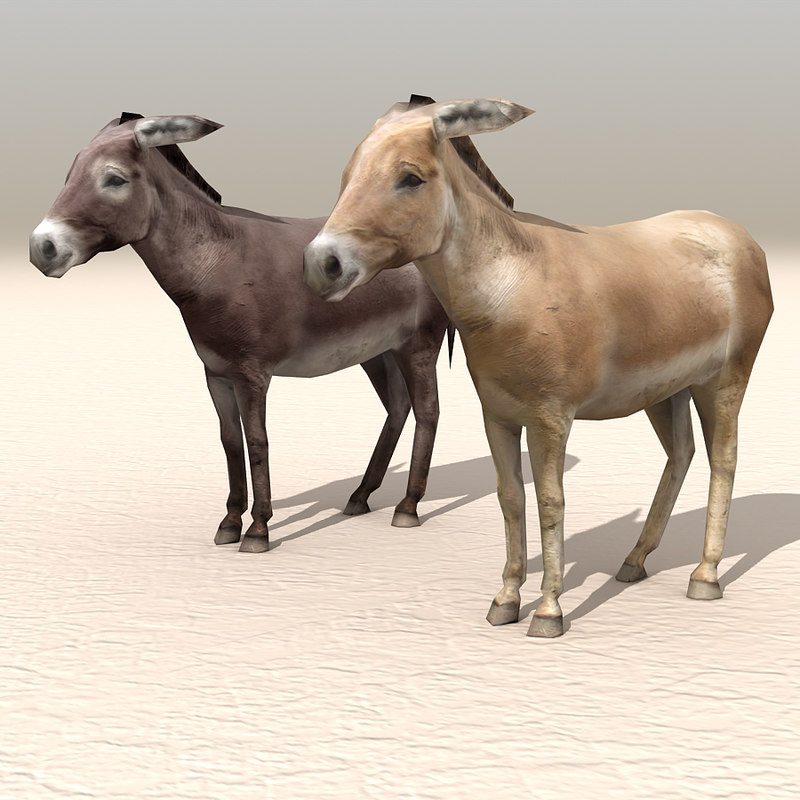 donkey arab carts 3d c4d