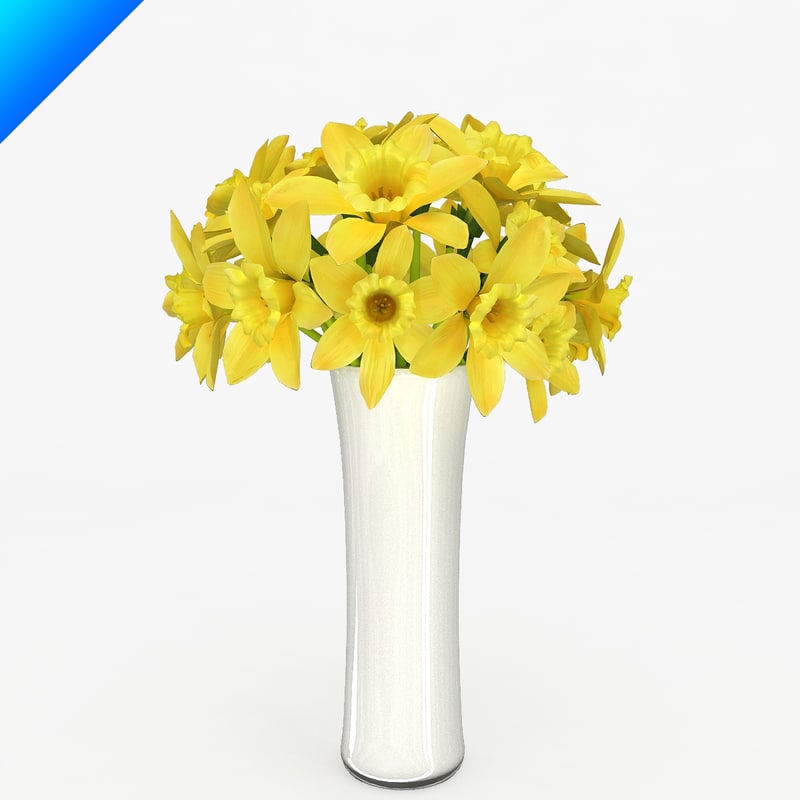 Narcissus bouquet 1.jpg