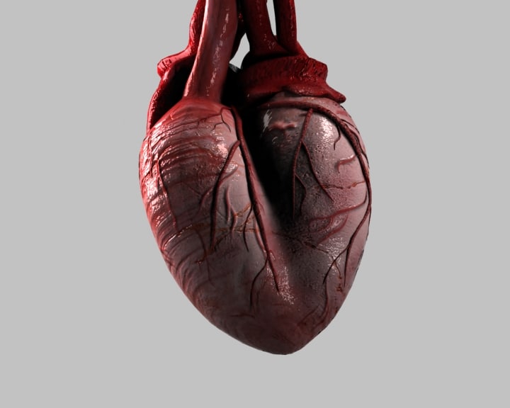 3D HEART ANIMATION 3d heart animation: