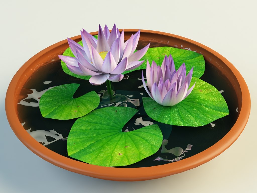 plant flower 3d max
