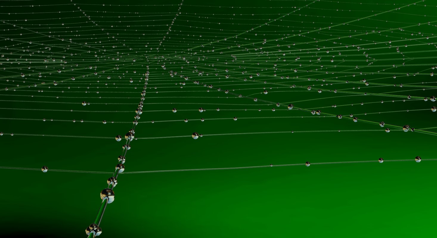 spiders web 3d blend