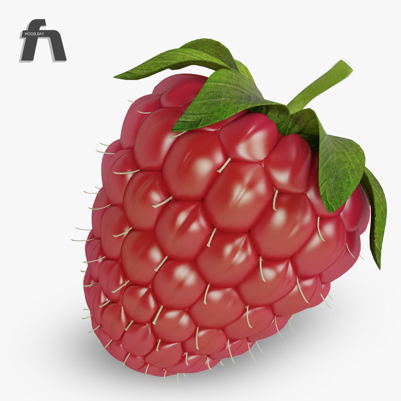 stl finder 3d models for raspberry pice stl finder 3d models for raspberry pice