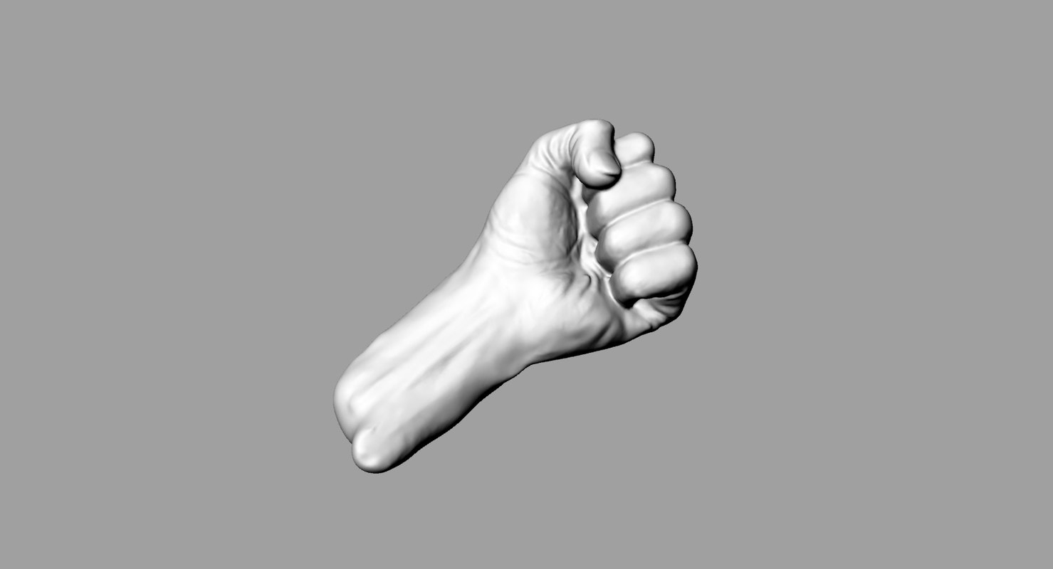Clenched Fist 3d Obj