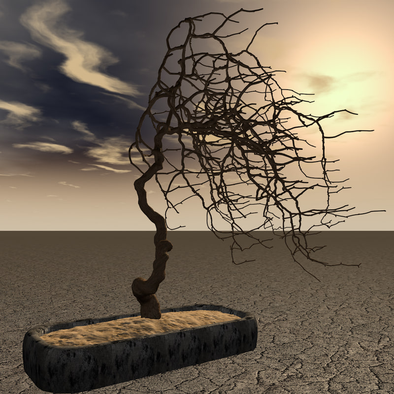 3d model of dry bonsai tree